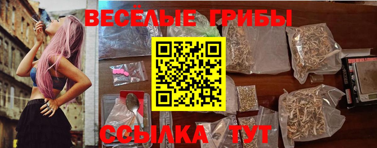 Псилоцибиновые грибы MAGIC MUSHROOMS Димитровград